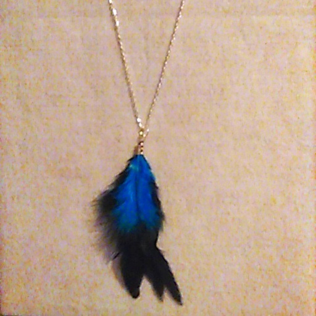 Necklace Turquoise & Black Rooster Feathers Silver-Tone Chain Handcrafted New